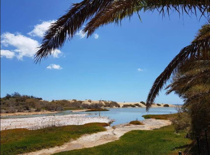 Bungalow Tropical Con Piscina Y Aire Acondicionado Maspalomas  Exteriér fotografie